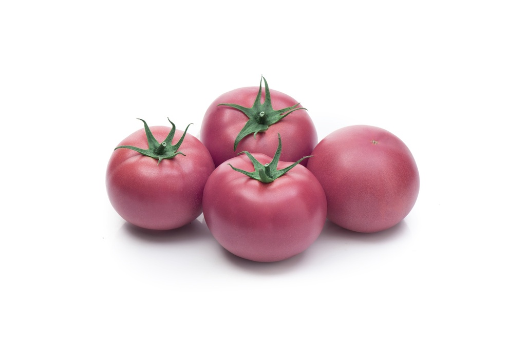 Пінк Хіт (162-332)  F1 500 шт (Yuksel Seeds)