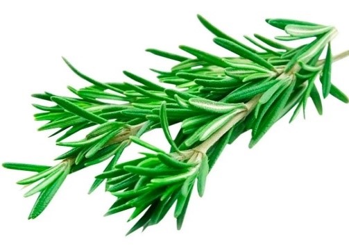 Розмарин, 1 г (ЛАН)