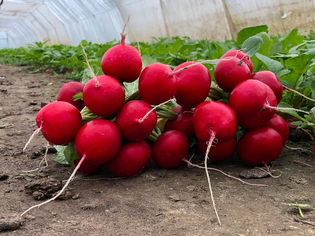 Джолі, 10 г (ЛАН)