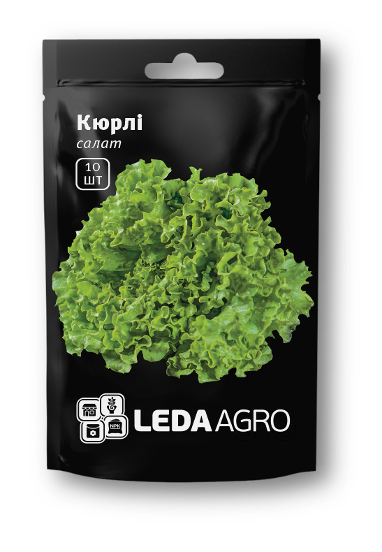 Кюрлі, батавія, 10 шт (ЛАН)