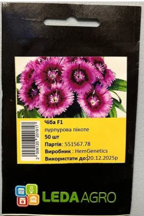 Чіба F1, пурпурова пікоте 50 шт (ЛАН)