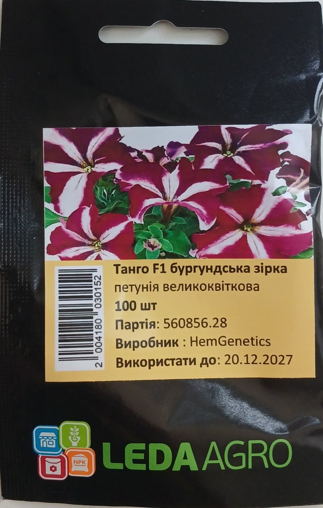 Танго F1, бургундська зірка, 100 шт (ЛАН)