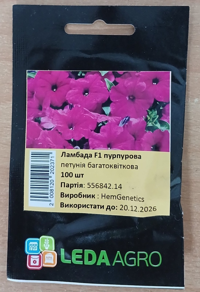 Ламбада F1, пурпурова, 100 шт (ЛАН)