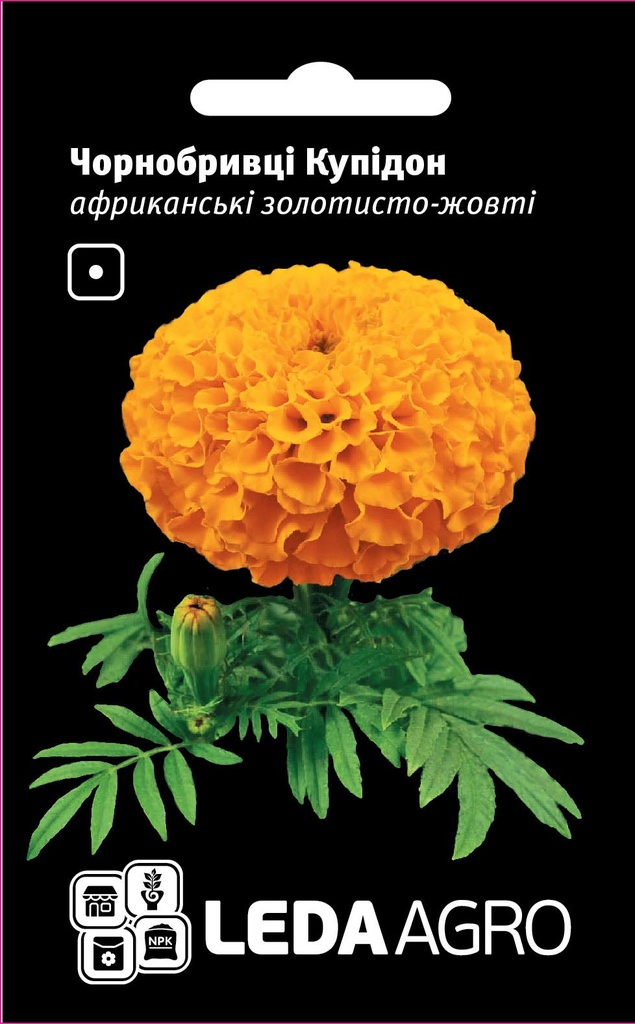 Купідон, золотисто-жовті, чорнобривці африканські 5 г (ЛАН)