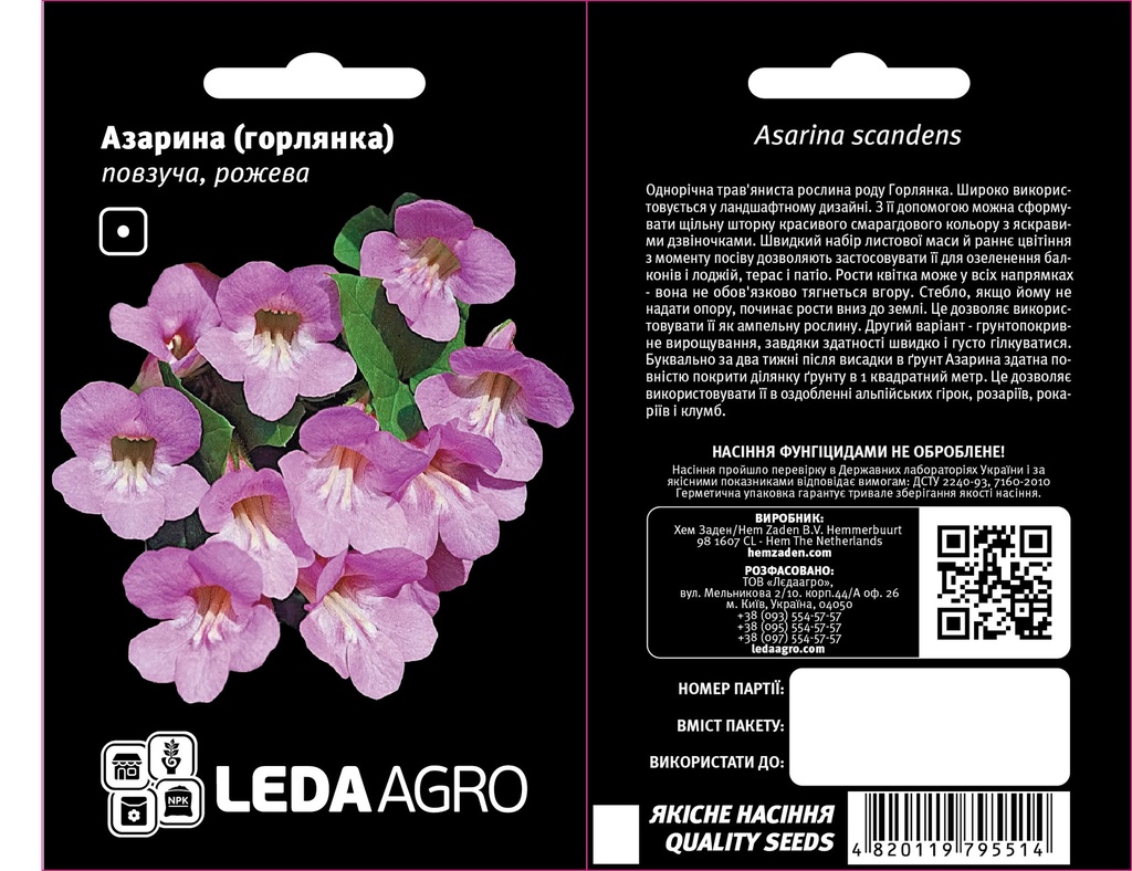 Азарина (горлянка) повзуча, рожева 4 шт (ЛАН)