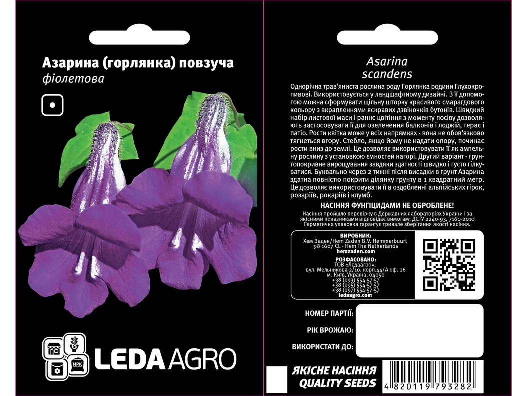 Азарина (горлянка) повзуча, фіолетова 4 шт (ЛАН)