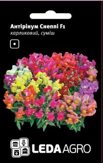Антірінум Снеппі F1, карликовий, суміш, 10 шт (ЛАН)