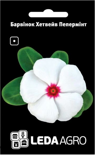 Хетвейв Пепермінт, білий 10 шт  (ЛАН)