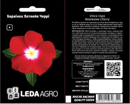 Хетвейв Черрі, червоний 10 шт  (ЛАН)