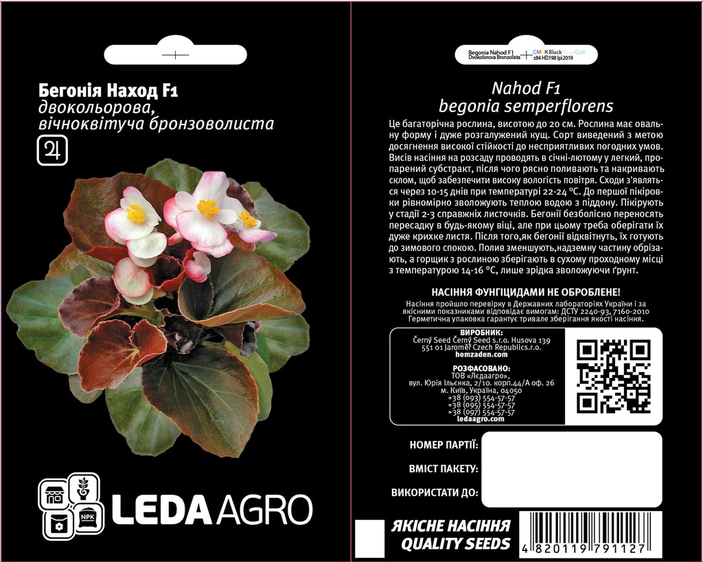 Наход F1, двокольорова бронзоволиста бегонія 10 шт  (ЛАН)