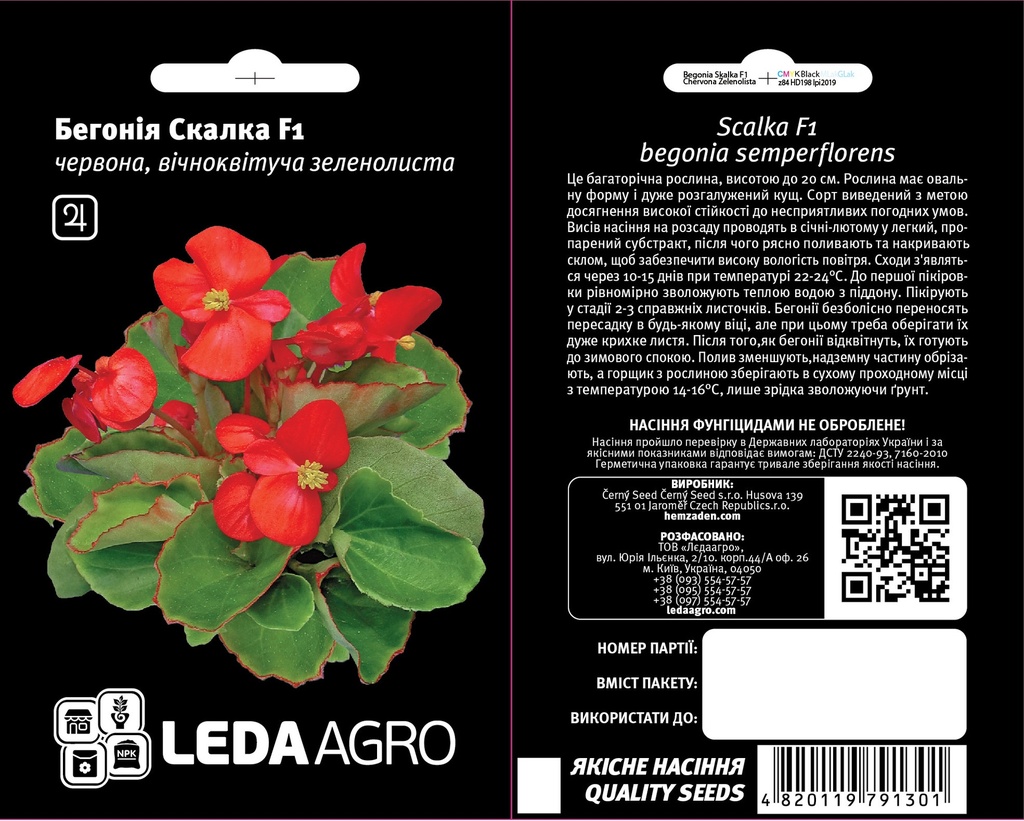 Скалка F1, червона зеленолиста бегонія 10 шт  (ЛАН)