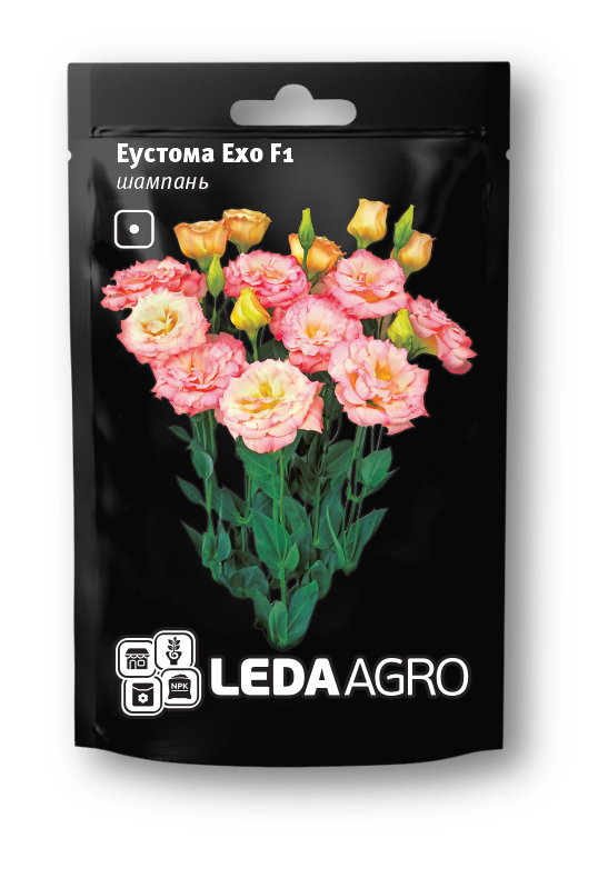 Ехо F1, шампань 5 шт  (ЛАН)