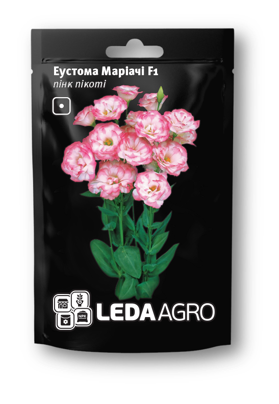 Маріачі F1, пінк пікоті 5 шт  (ЛАН)