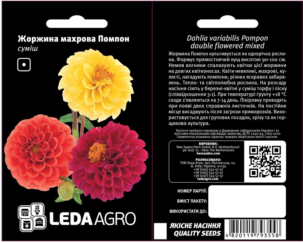 Помпон, жоржина махрова, суміш  0,2 г (ЛАН)