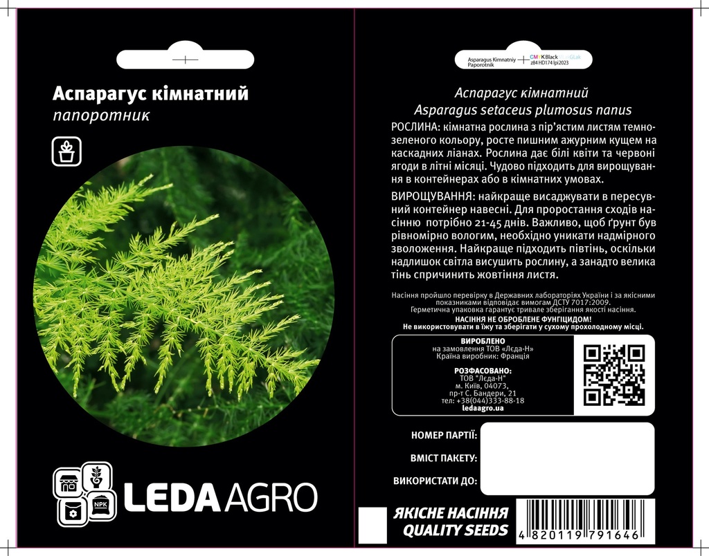 Аспарагус  кімнатний, папоротник 5 шт (ЛАН)