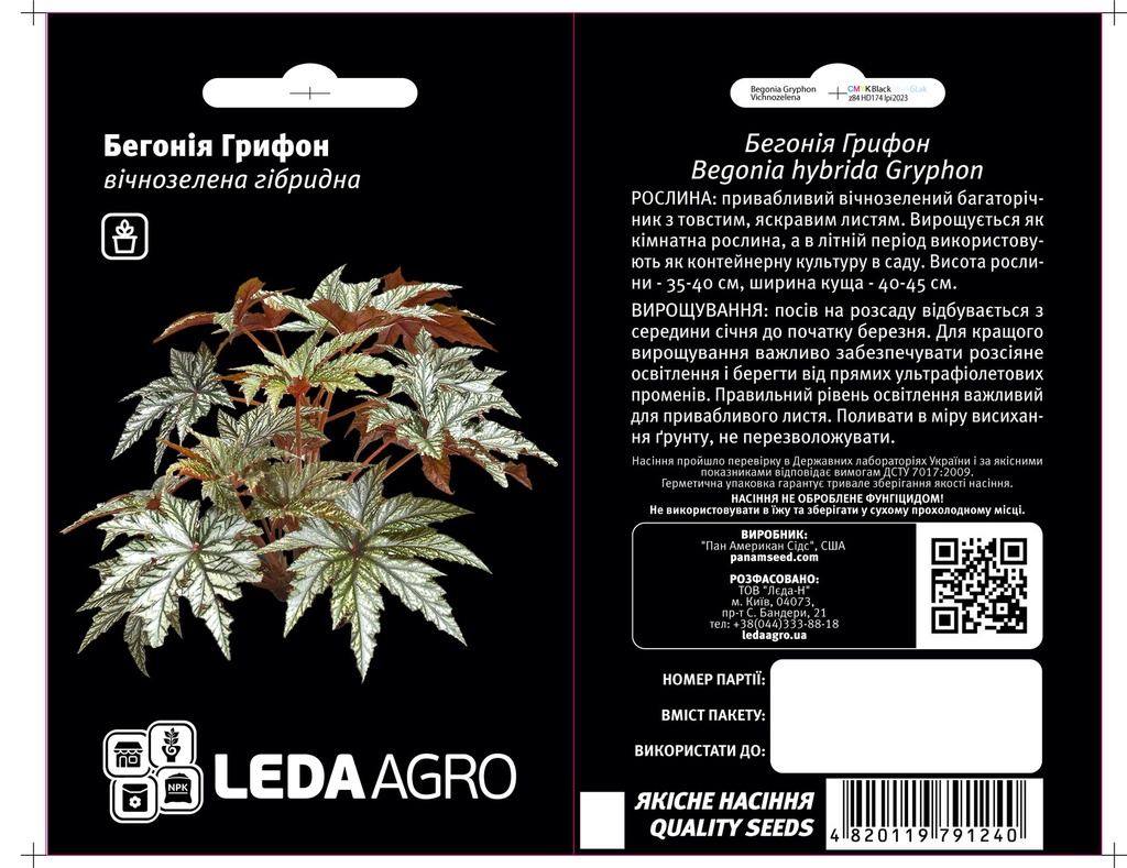 Бегонія Грифон, вічнозелена гібридна, 3 шт  (ЛАН)