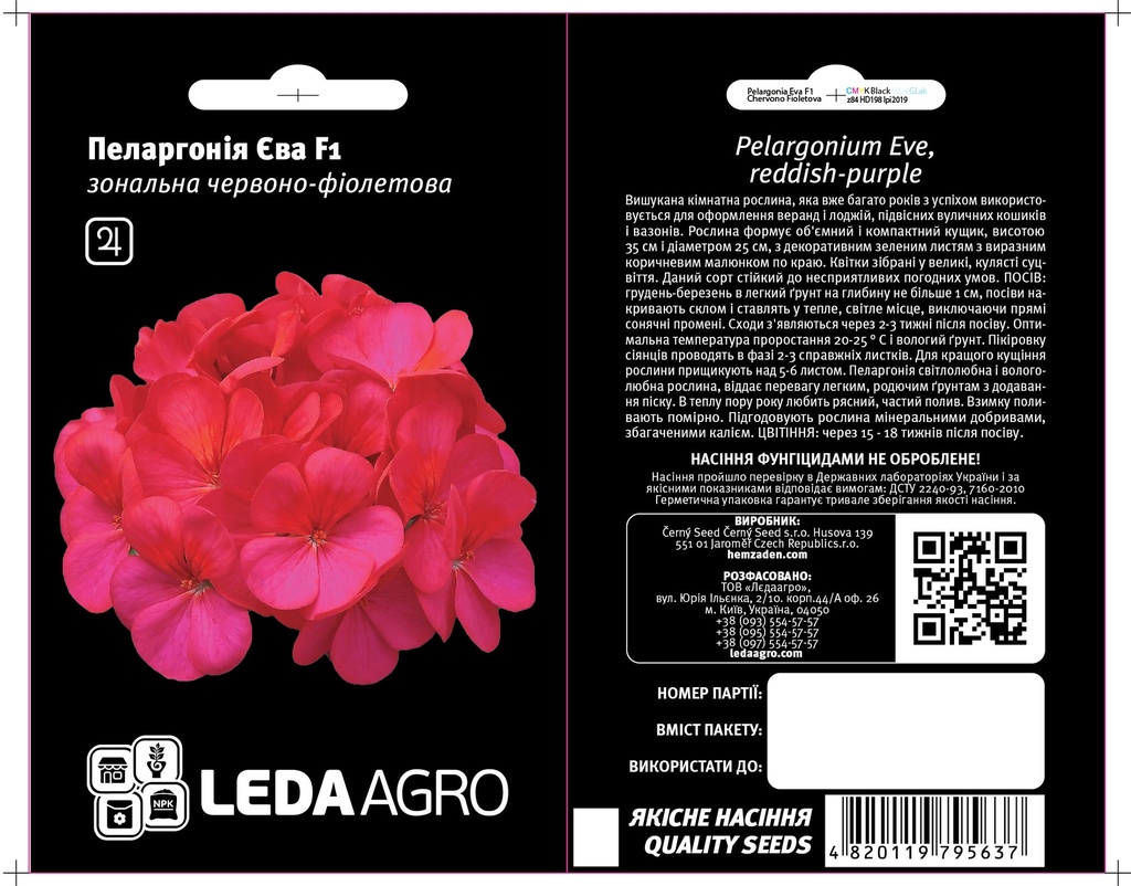 Єва F1, пеларгонія чер.- фіолет. 5 шт  (ЛАН)