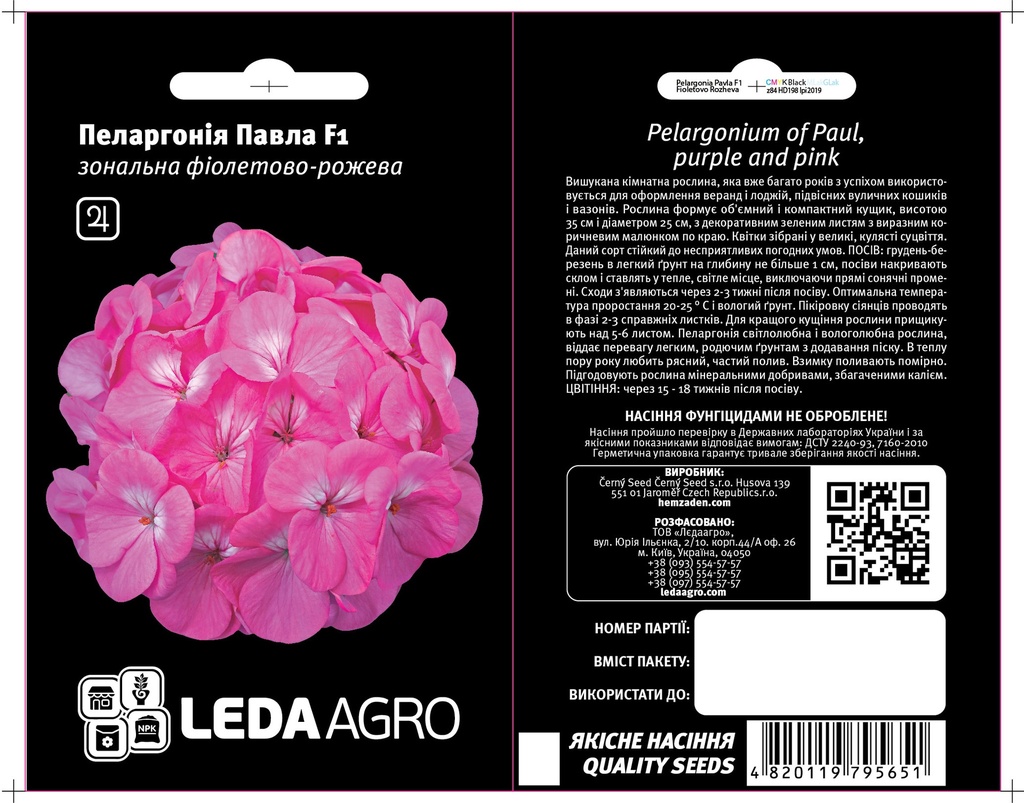 Павла F1, пеларгонія фіол.-рож. 5 шт  (ЛАН)
