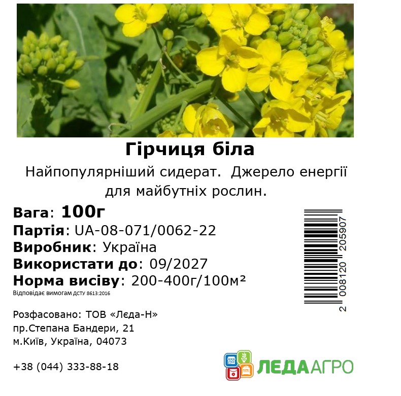 Гірчиця біла, 100 г (ЛАН)
