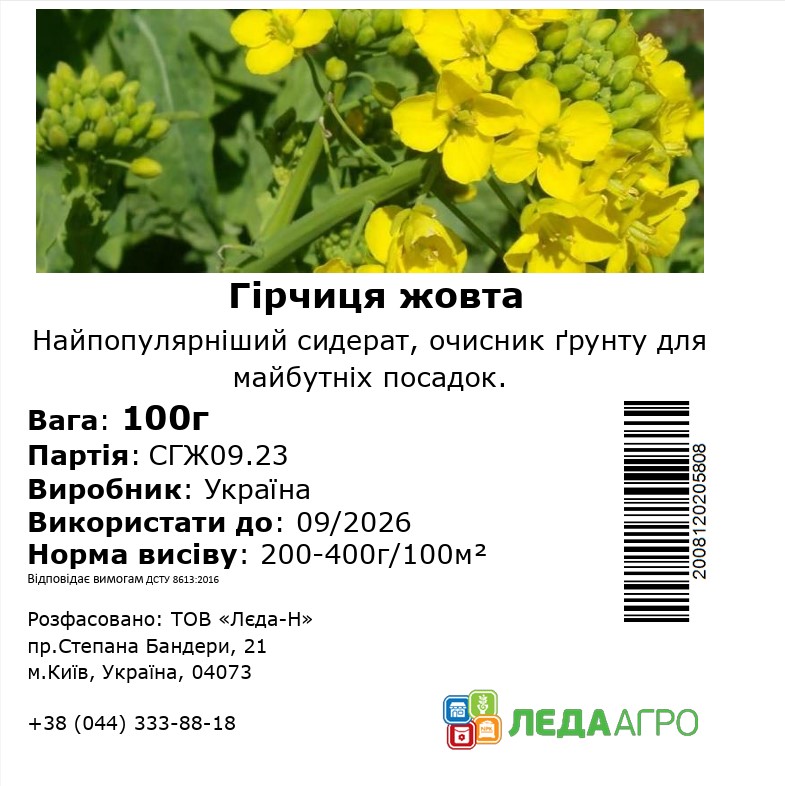 Гірчиця жовта, 100 г (ЛАН)