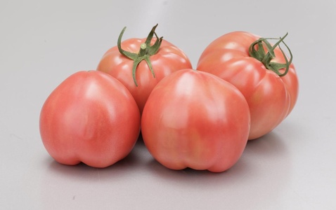 Розе Лав F1, рожевий, 500 шт (Yuksel Seeds)