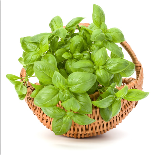 Боназза, базилік зелений  10 г (ЛАН)