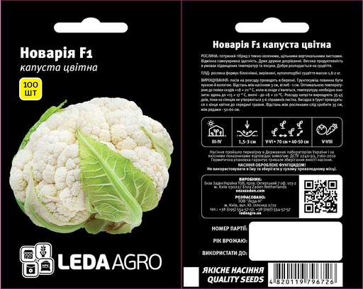 Новарія F1, середня, 100 шт (ЛАН)