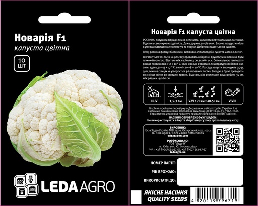Новарія F1, середня, 10 шт (ЛАН)