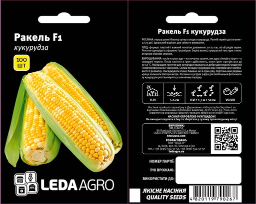 Ракель F1, біколор, 100 шт (ЛАН)