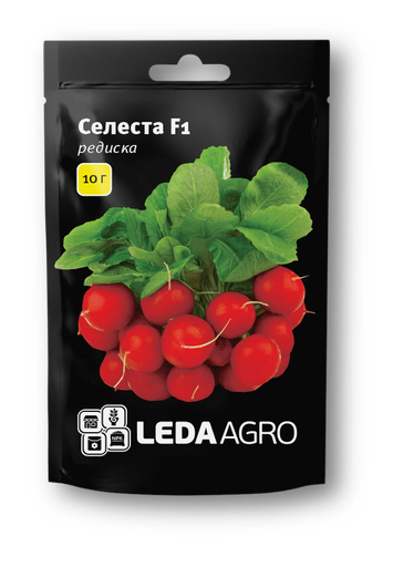 Селеста F1, 10 г (ЛАН)