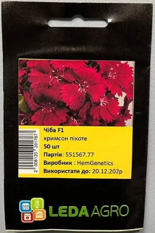 Чіба F1, кримсон пікоте 50 шт (ЛАН)