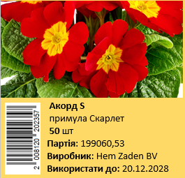 Акорд S1, скарлет 50 шт (ЛАН)