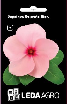 Хетвейв Пінк, рожевий 10 шт  (ЛАН)