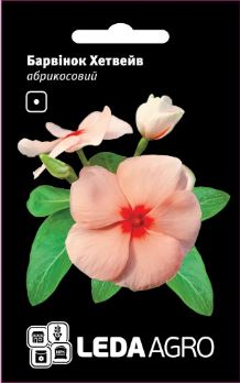 Хетвейв, абрикосовий 10 шт  (ЛАН)