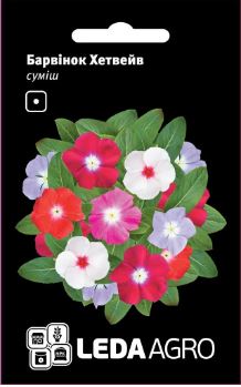 Хетвейв, суміш 10 шт  (ЛАН)