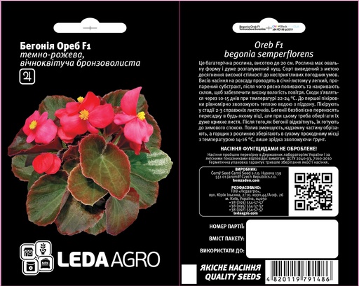 Ореб F1, темно-рожева бронзоволиста бегонія 10 шт  (ЛАН)