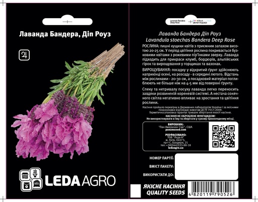 Лаванда Бандера, Діп Роуз 5 шт  (ЛАН)