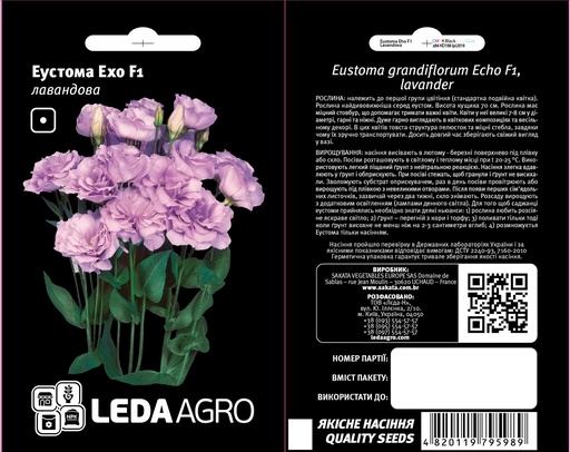 Ехо F1, лавандова 5 шт  (ЛАН)