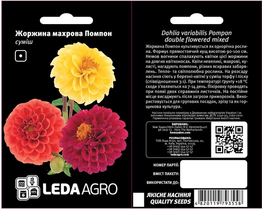 Помпон, жоржина махрова, суміш  0,2 г (ЛАН)