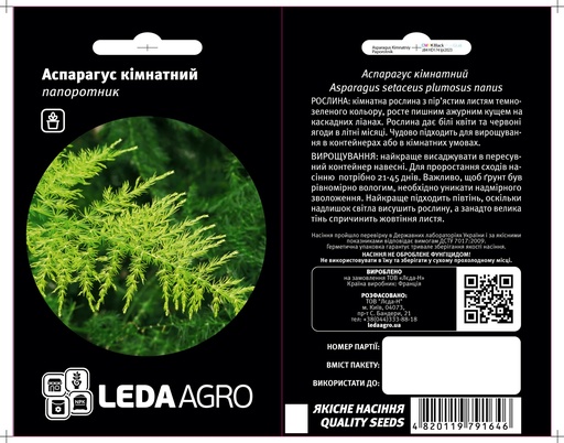 Аспарагус  кімнатний, папоротник 5 шт (ЛАН)