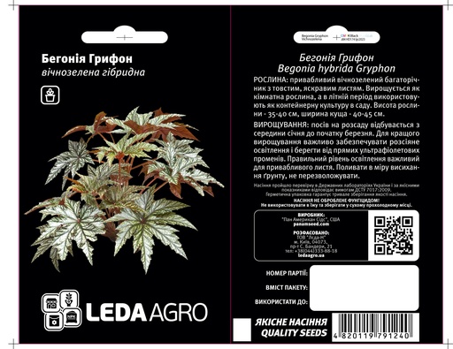 Бегонія Грифон, вічнозелена гібридна, 3 шт  (ЛАН)