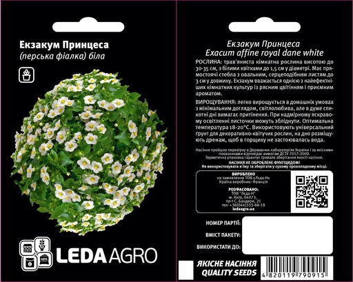 Екзакум Принцеса(перська фіалка), 5 шт (ЛАН)