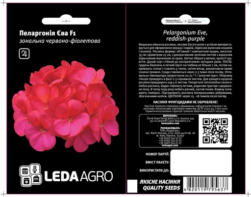 Єва F1, пеларгонія чер.- фіолет. 5 шт  (ЛАН)