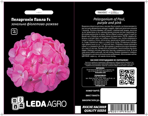 Павла F1, пеларгонія фіол.-рож. 5 шт  (ЛАН)